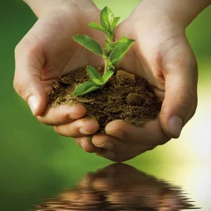 Fórmula vegana e cruelty-free